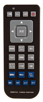 Custom Remote Model SW-29